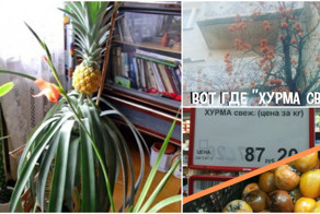 И в магазин ходить не надо!