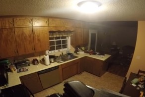 Вот что бывает когда домашним животным скучно!