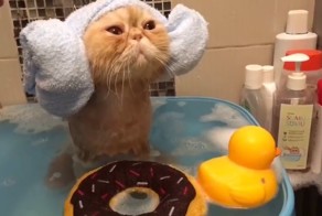 Не забывайте о водных процедурах!