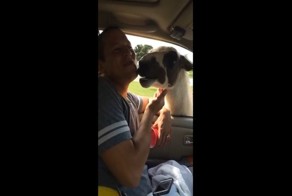 Вот что бывает, если не ответить ламе взаимностью!