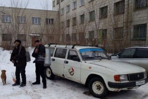 Свежая подборка автоприколов