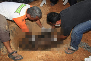 Семейство орангутанов погибло во время лесного пожара