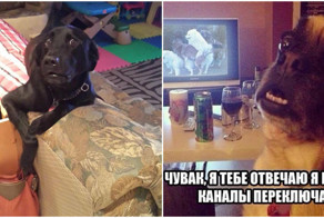 Был пойман с поличным, раскаиваюсь в содеянном!