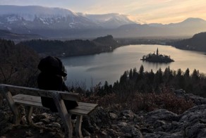 Фотоподборка за 11.03.2016