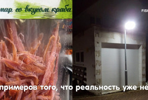 Всё летит к чёрту... и логика тоже