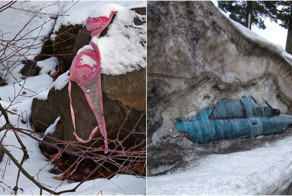 Подснежники, они такие разные!