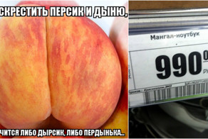 Лиха наша фантазия на гибриды разные!