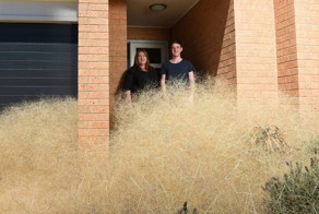 Когда город охватила волосатая паника