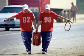 Интересные факты о бензине и дизельном топливе