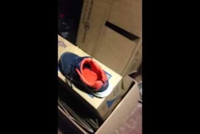 Вот почему вы всегда должны проверять обувь, прежде чем надеть её