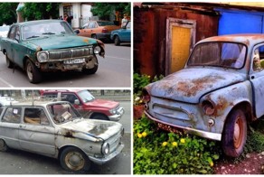 Лучшие экземпляры российских рэт-родов