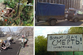 Дачный сезон не за горами. Что нас ждет?