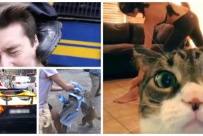 Вспомним как это было: лучшие падения и неудачи снятые на видео