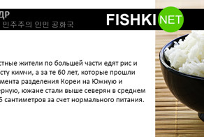 Одна Корея, две Кореи