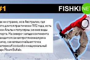 Австралийская дюжина фактов