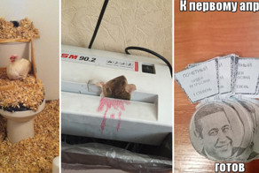 22 убойных розыгрыша на 1 апреля. Эти идеи вам точно пригодятся