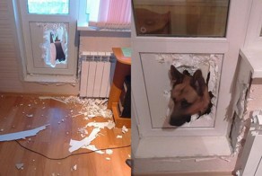 Для любви нет преград