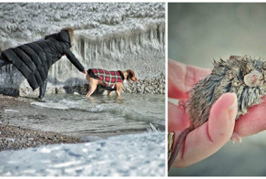В мире животных: сказка о маленьком, но очень храбром мышонке