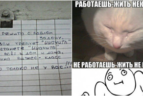 Это жиза, ребята!