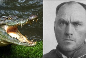 10 самых шокирующих способов, с помощью которых серийные убийцы избавлялись от тел