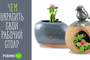 Чем украсить свой рабочий стол?