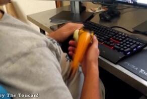 Тукан ведет себя в точности как домашний котик