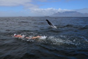 Фотоподборка за 07.04.2016