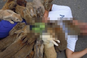 Самые жестокие нападения зверей на человека
