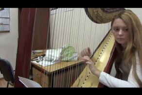 Зачем дирижеру оркестр и что бы мы без него делали?