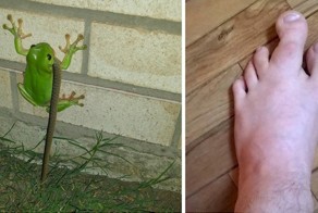 15 фотографий, которые повергнут вас в ступор
