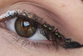 Макияж для муравьев: крошечные картины на веках