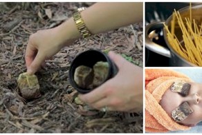 20 оригинальных способов повторного использования чайных пакетиков 