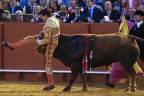 Бык насадил матадора на свой рог