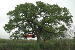 Фотоподборка за 13.04.2016