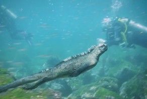 Огромная рептилия размером с человека найдена на Галапагосских островах