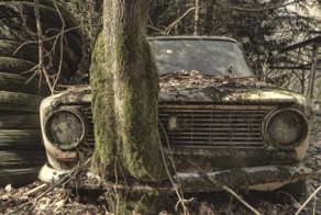 Забытое временем