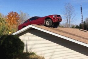 Паркуется как голуби