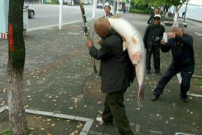 Старик поймал в реке Янцзы почти что золотую рыбку