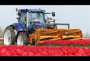 Агропорно из Голландии, которое приведет вас в восторг