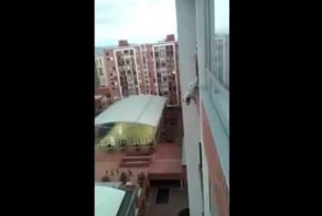Колумбиец спас собаку, повисшую на балконе многоэтажки