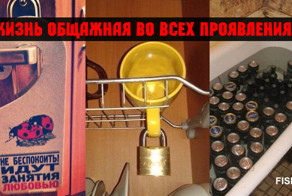 Жизнь общажная