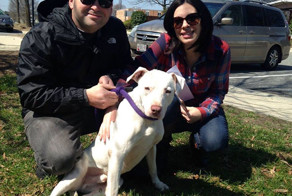 Брошенная собака не может перестать улыбаться после того, как нашла новый дом