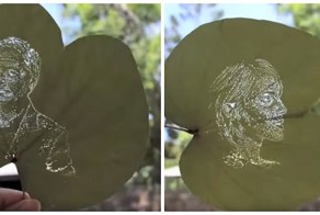 Художница превращает обычные листья в произведения искусства