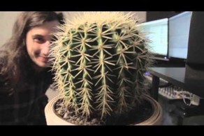 Когда кактус - полноценный музыкальный инструмент 