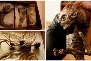 В подвале старого лондонского особняка нашли тела странных существ