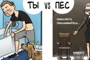 7 иллюстраций, которые демонстрируют, как собаки видят мир