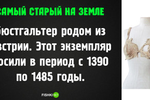 Самое, самое старое на нашей планете