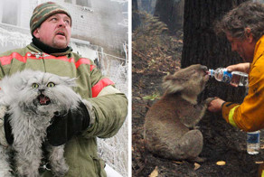 20 фотографий смелых пожарных, спасающих животных из огня
