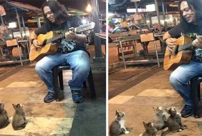 Малазийский уличный музыкант нашёл своих самых преданных слушателей