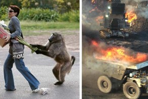 Что такое не везет: 30 самых курьезных случаев